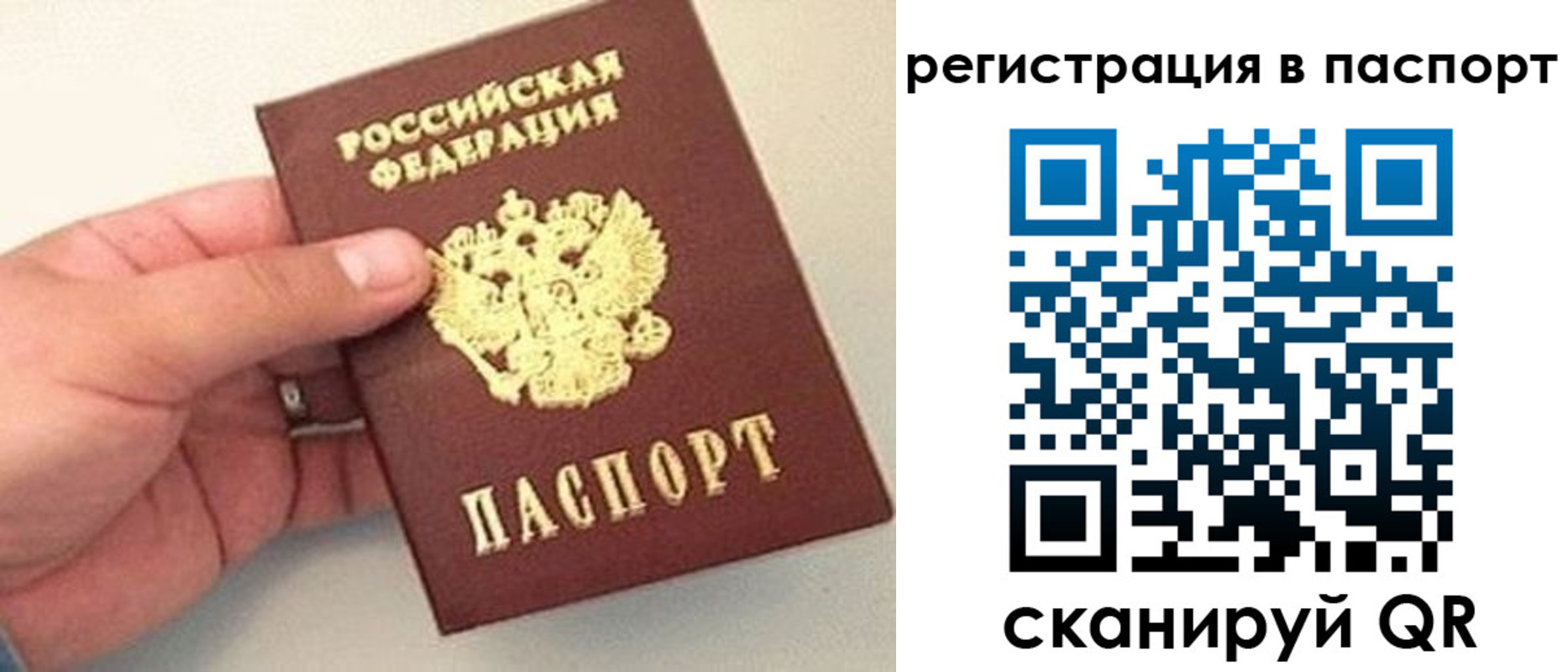 прописка законно в Минеральных Водах